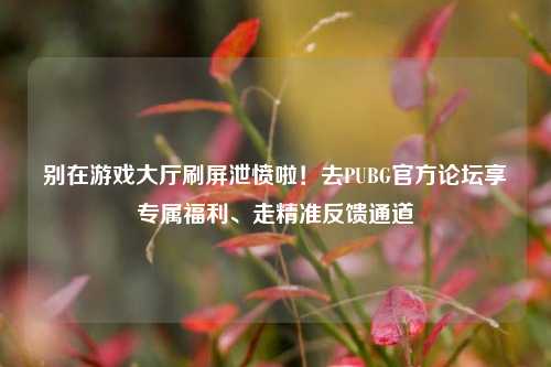 别在游戏大厅刷屏泄愤啦!去PUBG官方论坛享专属福利、走精准反馈通道