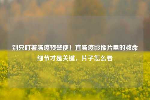 别只盯着肠癌预警便!直肠癌影像片里的救命细节才是关键,片子怎么看