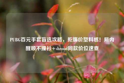PUBG百元手套盲选攻略,拒廉价塑料感!局内醒顺不撞衫+shroud同款价位速查