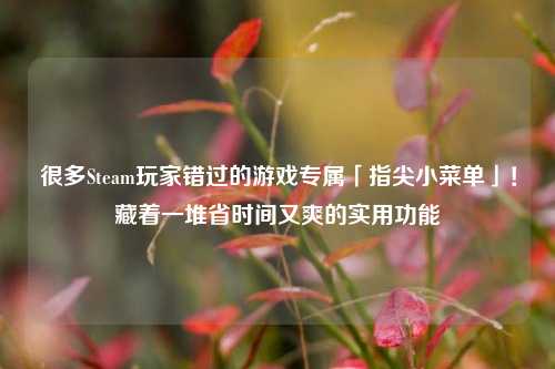 很多Steam玩家错过的游戏专属「指尖小菜单」!藏着一堆省时间又爽的实用功能