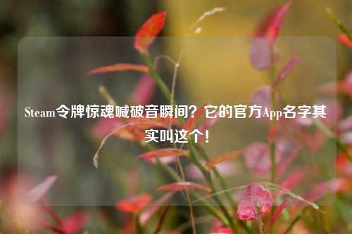Steam令牌惊魂喊破音瞬间？它的官方App名字其实叫这个！