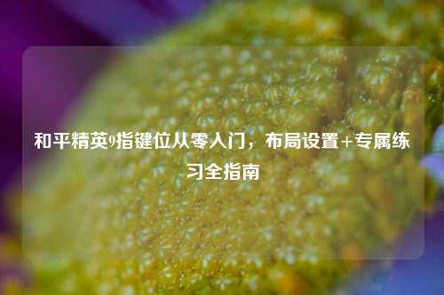 和平精英9指键位从零入门,布局设置+专属练习全指南