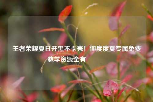 王者荣耀夏日开黑不卡壳！仰度度夏专属免费教学资源全有👇