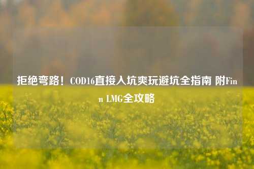 拒绝弯路！COD16直接入坑爽玩避坑全指南 附Finn LMG全攻略