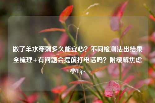 做了羊水穿刺多久能安心?不同检测法出结果全梳理+有问题会提前打电话吗?附缓解焦虑小Tips