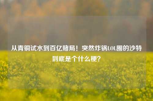 从青铜试水到百亿赌局!突然炸锅LOL圈的沙特到底是个什么梗?