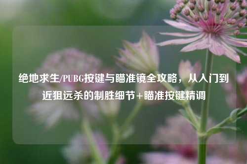 绝地求生/PUBG按键与瞄准镜全攻略，从入门到近狙远杀的制胜细节+瞄准按键精调