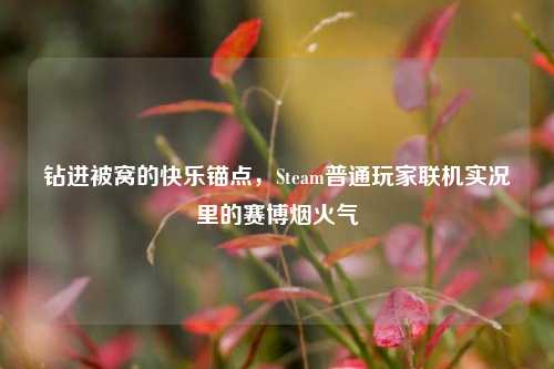 钻进被窝的快乐锚点,Steam普通玩家联机实况里的赛博烟火气