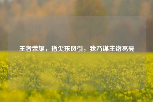 王者荣耀，指尖东风引，我乃谋主诸葛亮