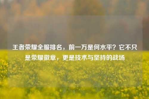 王者荣耀全服排名,前一万是何水平?它不只是荣耀徽章,更是技术与坚持的战场
