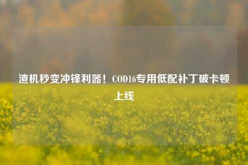 渣机秒变冲锋利器！COD16专用低配补丁破卡顿上线