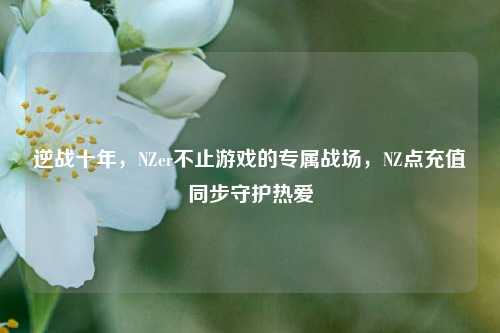 逆战十年,NZer不止游戏的专属战场,NZ点充值同步守护热爱