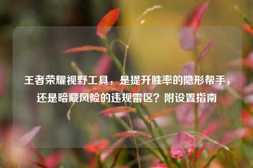 王者荣耀视野工具,是提升胜率的隐形帮手,还是暗藏风险的违规雷区?附设置指南
