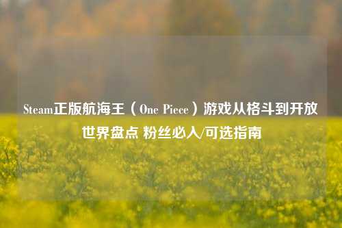 Steam正版航海王(One Piece)游戏从格斗到开放世界盘点 粉丝必入/可选指南