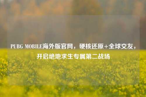PUBG MOBILE海外版官网,硬核还原+全球交友,开启绝地求生专属第二战场
