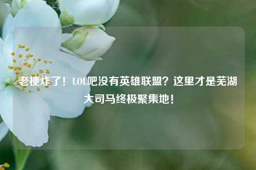 老梗炸了!LOL吧没有英雄联盟?这里才是芜湖大司马终极聚集地!