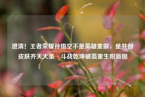澄清!王者荣耀孙悟空不是英雄重做,是共创皮肤齐天大圣·斗战乾坤破茧重生附新图