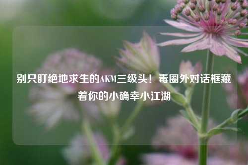 别只盯绝地求生的AKM三级头！毒圈外对话框藏着你的小确幸小江湖