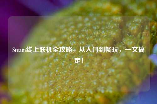 Steam线上联机全攻略，从入门到畅玩，一文搞定！