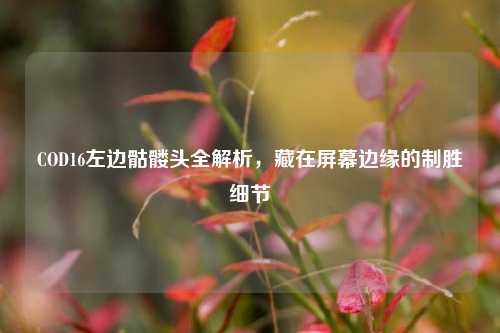 COD16左边骷髅头全解析，藏在屏幕边缘的制胜细节
