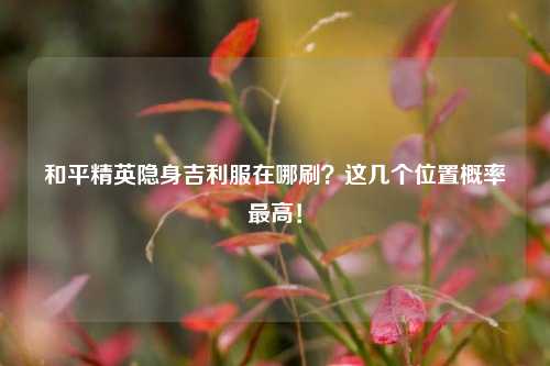 和平精英隐身吉利服在哪刷？这几个位置概率最高！