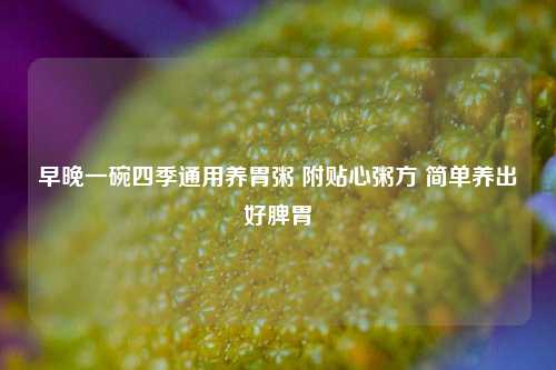 早晚一碗四季通用养胃粥 附贴心粥方 简单养出好脾胃