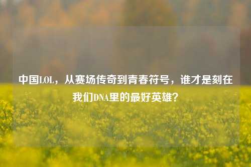 中国LOL,从赛场传奇到青春符号,谁才是刻在我们DNA里的最好英雄?