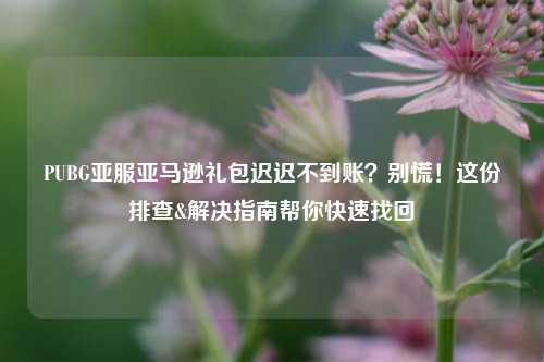 PUBG亚服亚马逊礼包迟迟不到账?别慌!这份排查&解决指南帮你快速找回