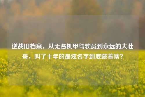 逆战旧档案,从无名机甲驾驶员到永远的大壮哥,叫了十年的最炫名字到底藏着啥?