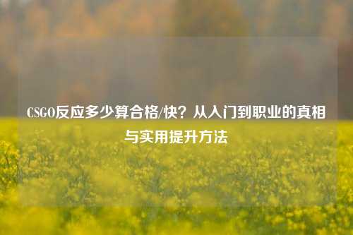 CSGO反应多少算合格/快?从入门到职业的真相与实用提升方法