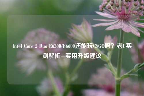 Intel Core 2 Duo E6300/E6600还能玩CSGO吗?老U实测解析+实用升级建议