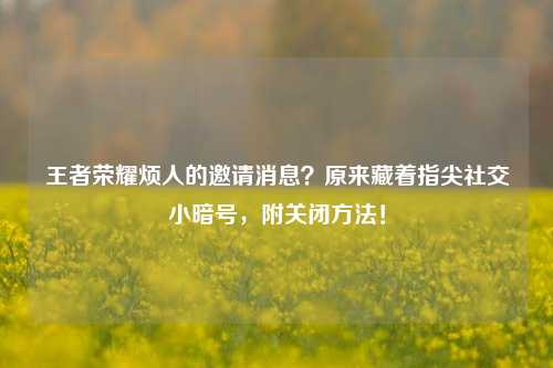 王者荣耀烦人的邀请消息？原来藏着指尖社交小暗号，附关闭方法！
