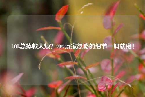 LOL总掉帧太烦？90%玩家忽略的细节一调就稳！