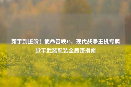 新手到进阶!使命召唤16,现代战争主机专属趁手武器配装全思路指南