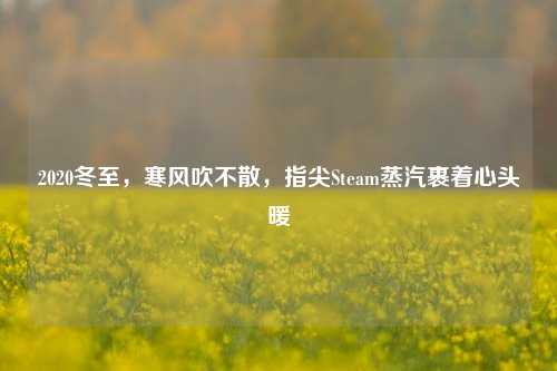2020冬至，寒风吹不散，指尖Steam蒸汽裹着心头暖