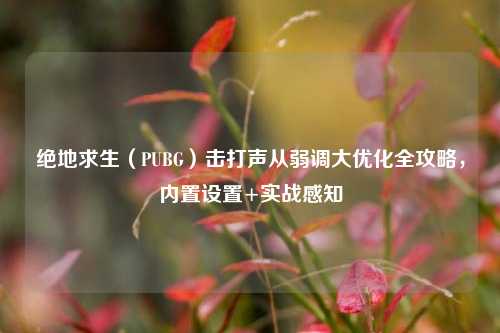 绝地求生（PUBG）击打声从弱调大优化全攻略，内置设置+实战感知