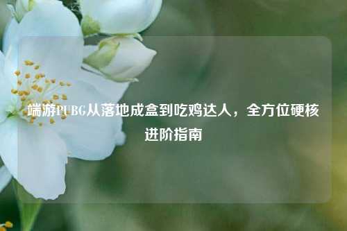 端游PUBG从落地成盒到吃鸡达人,全方位硬核进阶指南