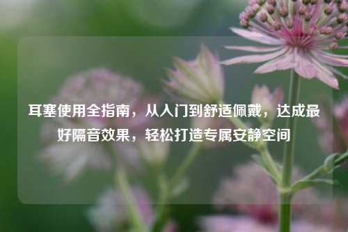 耳塞使用全指南,从入门到舒适佩戴,达成最好隔音效果,轻松打造专属安静空间
