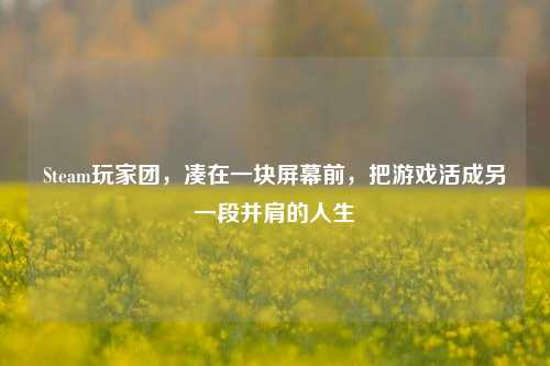 Steam玩家团,凑在一块屏幕前,把游戏活成另一段并肩的人生