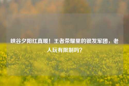 峡谷夕阳红真暖！王者荣耀里的银发军团，老人玩有限制吗？