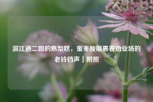滨江道二姐的熟梨糕,蜜枣酸磨裹着劝业场的老铃铛声|附照