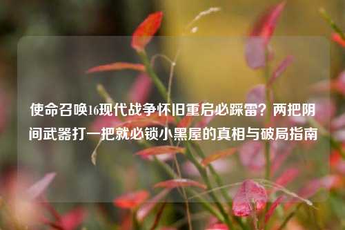 使命召唤16现代战争怀旧重启必踩雷？两把阴间武器打一把就必锁小黑屋的真相与破局指南