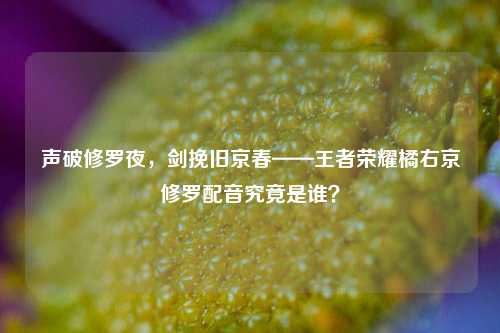 声破修罗夜,剑挽旧京春——王者荣耀橘右京修罗配音究竟是谁?