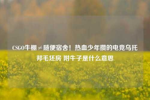 CSGO牛棚≠随便宿舍!热血少年攒的电竞乌托邦毛坯房 附牛子是什么意思