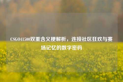 CSGO41500双重含义梗解析,连接社区狂欢与赛场记忆的数字密码